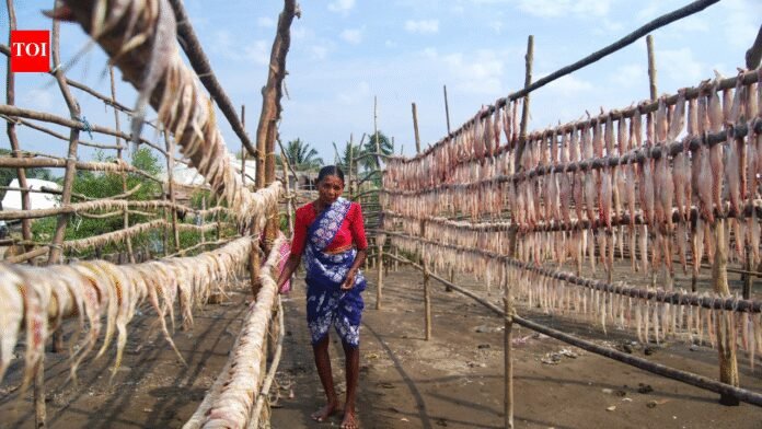 Maharashtra Tourism Policy: Women drive tourism push under Maharashtra’s ‘Aai’ policy; 900 loans worth Rs 72 crore sanctioned | Mumbai News