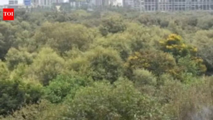 Mangrove felling for Mumbai coastal road prompts call for independent review | Mumbai News