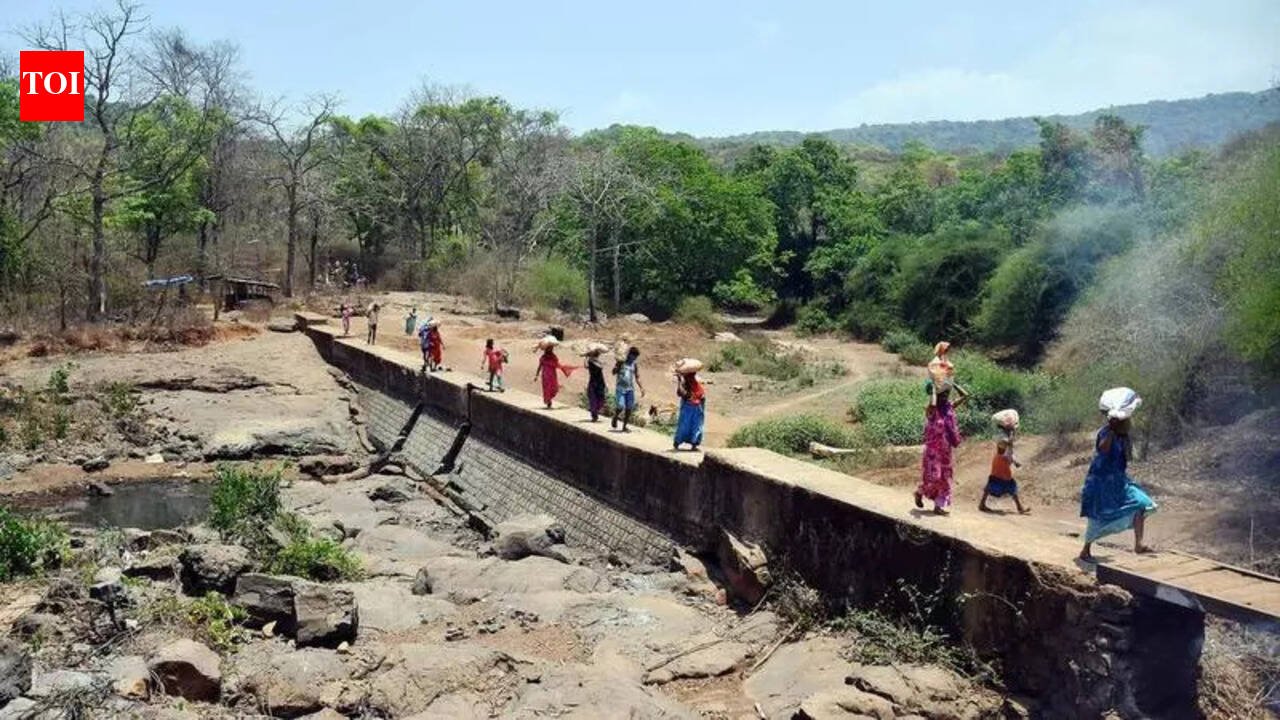 Meeting on rehabilitation of SGNP tribals today, minister announces in Council | Mumbai News