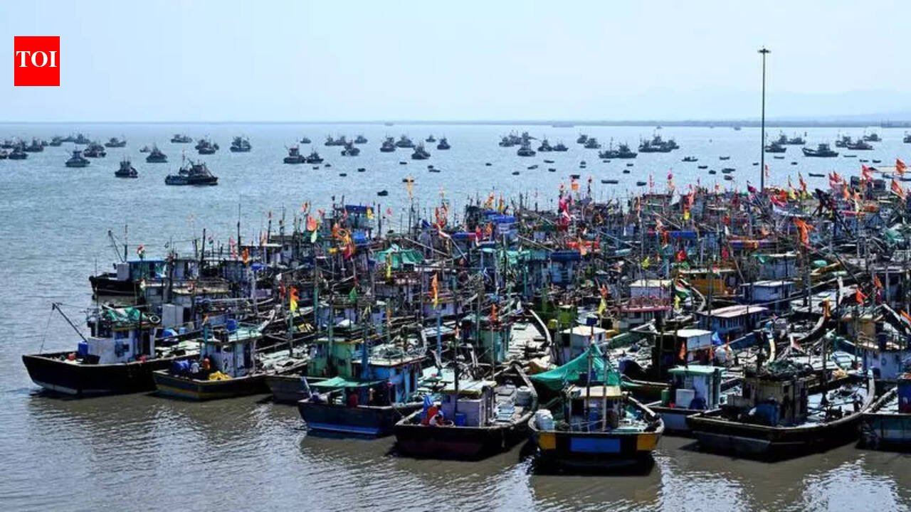 Minister flags diesel crisis to Centre as Mumbai fish markets brace for supply crunch | Mumbai News