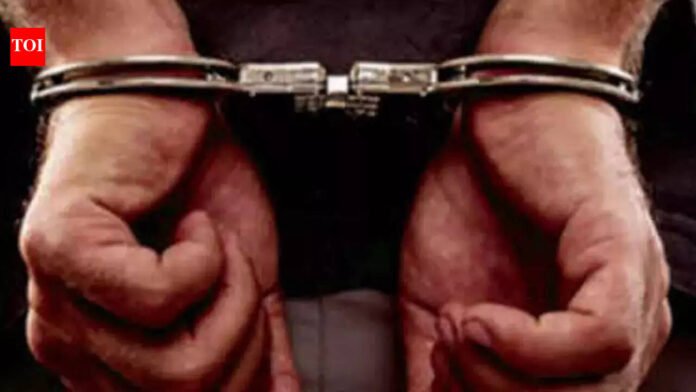 Mumbai Snatching Incident: 2 held for abducting 4-year-old boy and snatching gold earrings in Mumbai's Vikhroli | Mumbai News