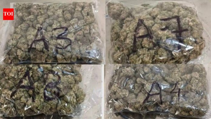 Mumbai airport drug bust: 64 kg hydroponic weed worth Rs 64cr seized, 4 held | Mumbai News