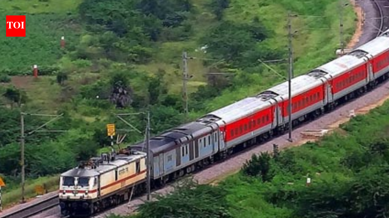 Mumbai megablock: Trans-harbour train services between Thane and Vashi/Nerul to remain suspended | Mumbai News