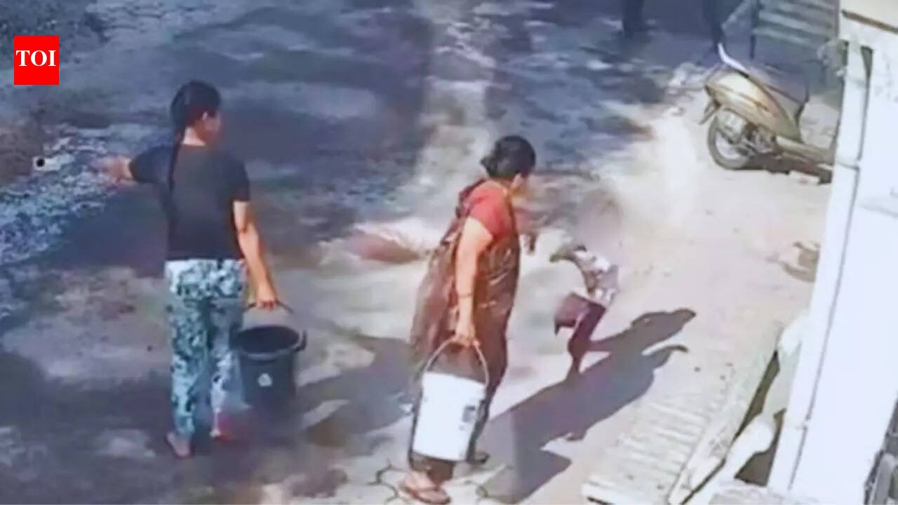 Nagpur Holi News: Splashed with colours on Holi, woman hurls boiling water on 4-year-old in Nagpur | Nagpur News