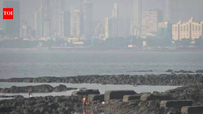 Navi Mumbai: Trekker falls off cliff in Karjat, rescued by locals | Mumbai News