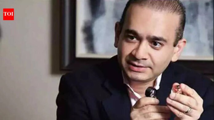 Nirav Modi: Nirav Modi appears in person to fight Rs 100 crore Bank of India case in London | India News