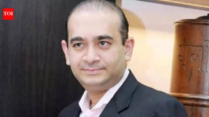 Nirav Modi Trial: Nirav Modi defiant, blames CBI and ED for destroying his businesses | India News