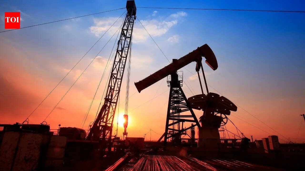 Oil 'permission': US repeats India 'good actors' claim, says 'short term measure' won't benefit Russian govt