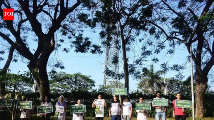 Over 200 participate in human chain protest to save 440 trees on Palm Beach Road in Navi Mumbai | Mumbai News
