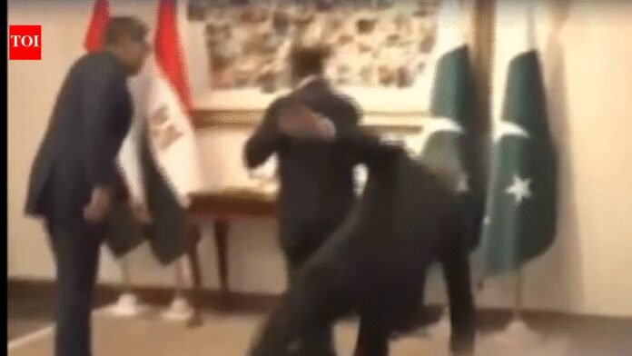 Pakistan deputy PM Ishaq Dhar falls while welcoming Egyptian FM to Middle East peace talks, video goes viral
