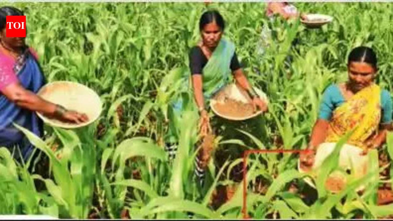 Panel set up for new bill for empowerment of women farmers in Maharashtra | Mumbai News