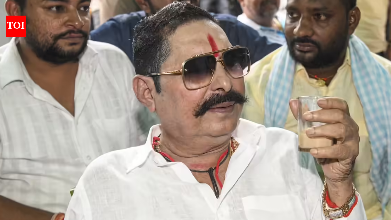Patna high court grants bail to JD(U) MLA Anant Singh in Dularchand Yadav murder case