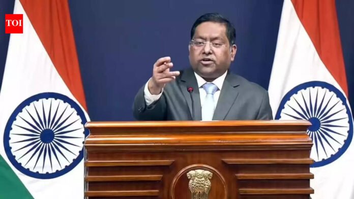 'Peddling lies and frivolous narratives': India rejects Pakistan remarks on banned terrorist organisation | India News