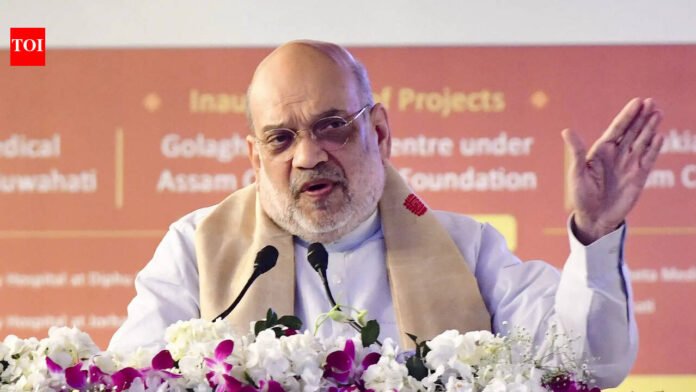 'Rahul Gandhi defaming India': Amit Shah on Youth Congress' shirtless protest at Delhi AI summit | India News