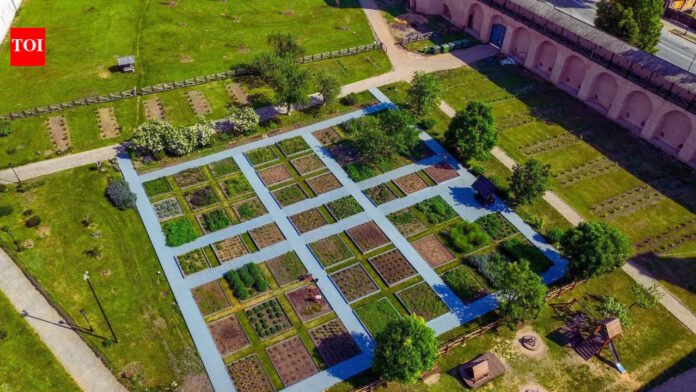 Real Estate Investments: What are plotted developments and 10 tips for investing in this kind of real estate