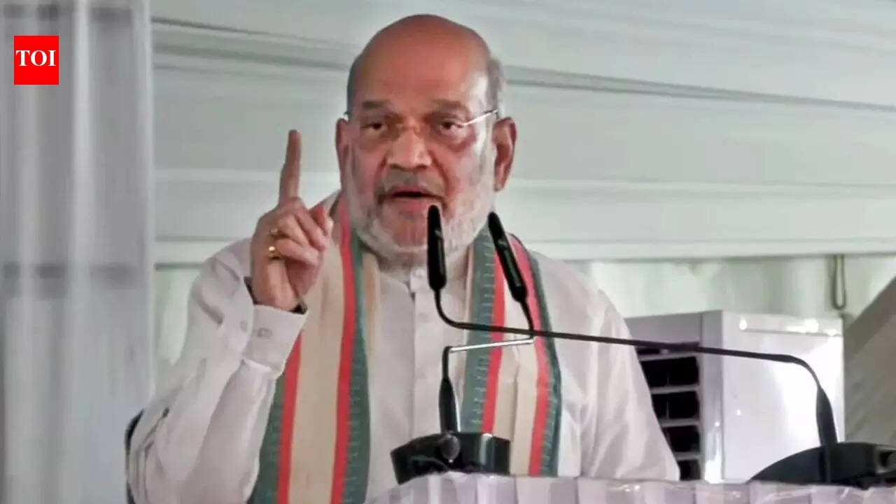 ‘Red corridor’ will be crushed by March 31, says Amit Shah | India News