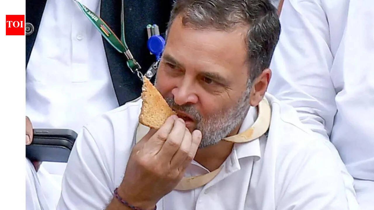 Retired officials demand Rahul Gandhi's apology over Parliament protest | India News