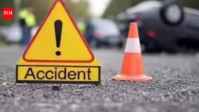 Road deaths in city this year down 24%: Transport dept | Mumbai News