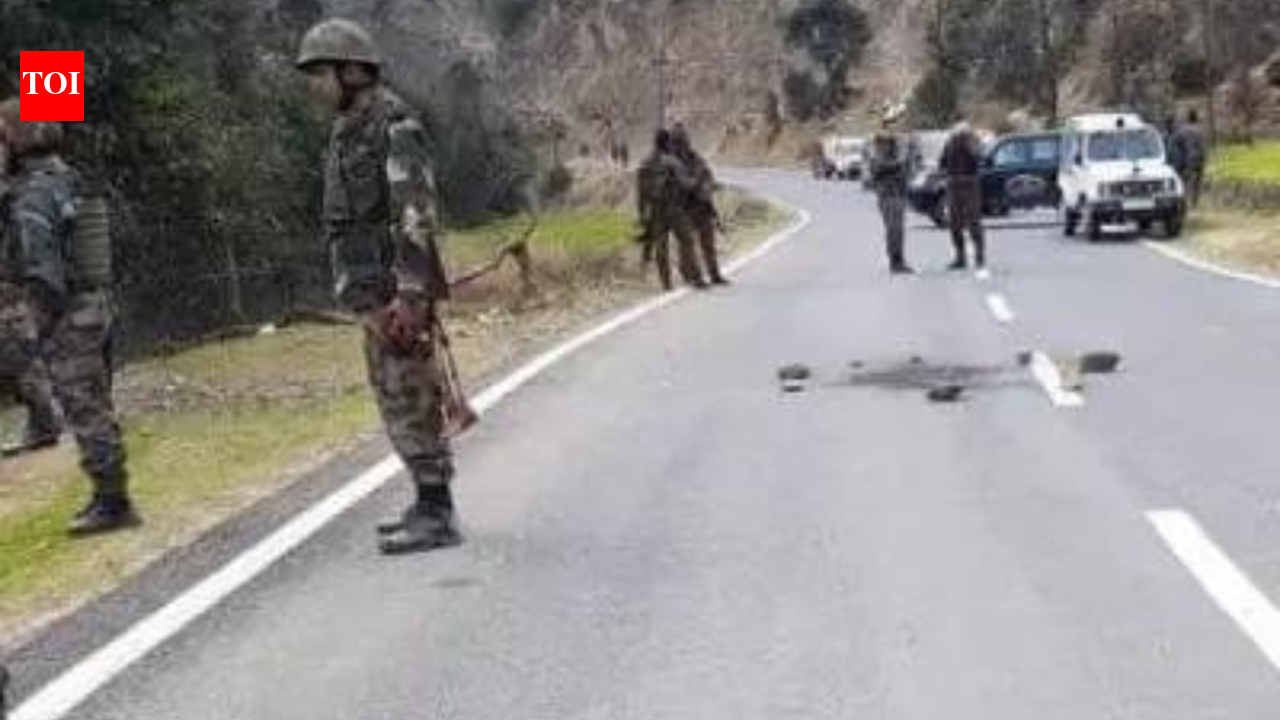 Search ops launched in 3 J&K districts; GOC IX Corps visits Kathua | India News