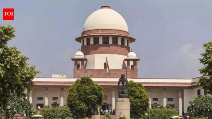'Shameful to summon 3-year old': Supreme Court slams Haryana Police for 'insensitive' handling of child rape case | India News