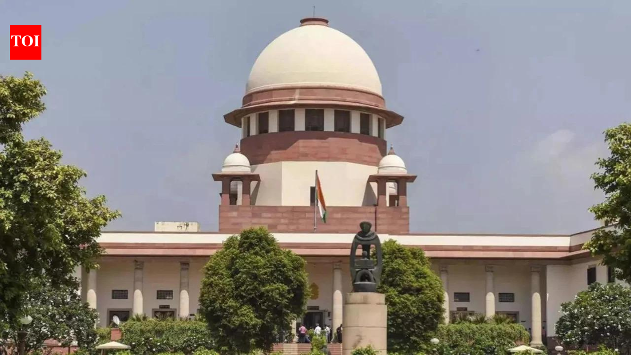 'Shameful to summon 3-year old': Supreme Court slams Haryana Police for 'insensitive' handling of child rape case | India News