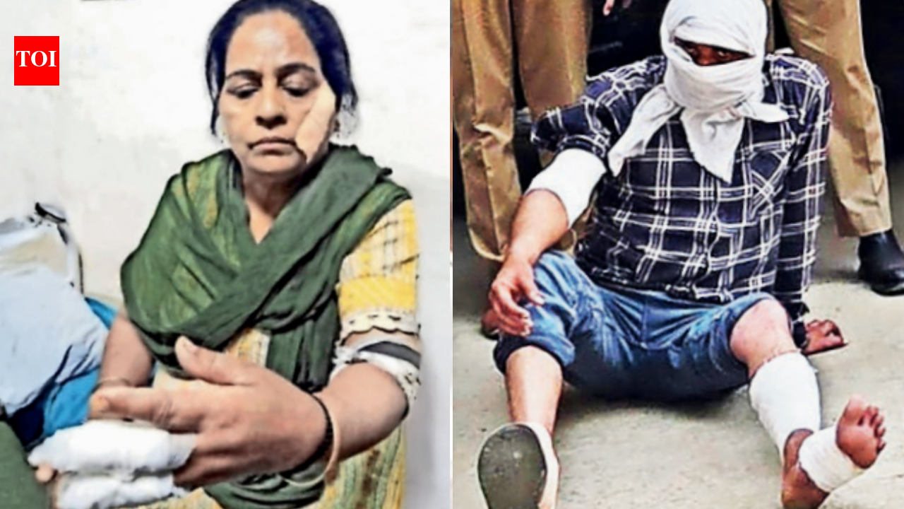 Stabbed thrice, 54-year-old Punjab woman fights off intruder posing as delivery agent | Chandigarh News