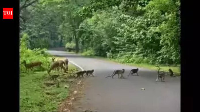 State govt will soon recruit additional security personnel to prevent encroachments in Aarey Colony | Mumbai News