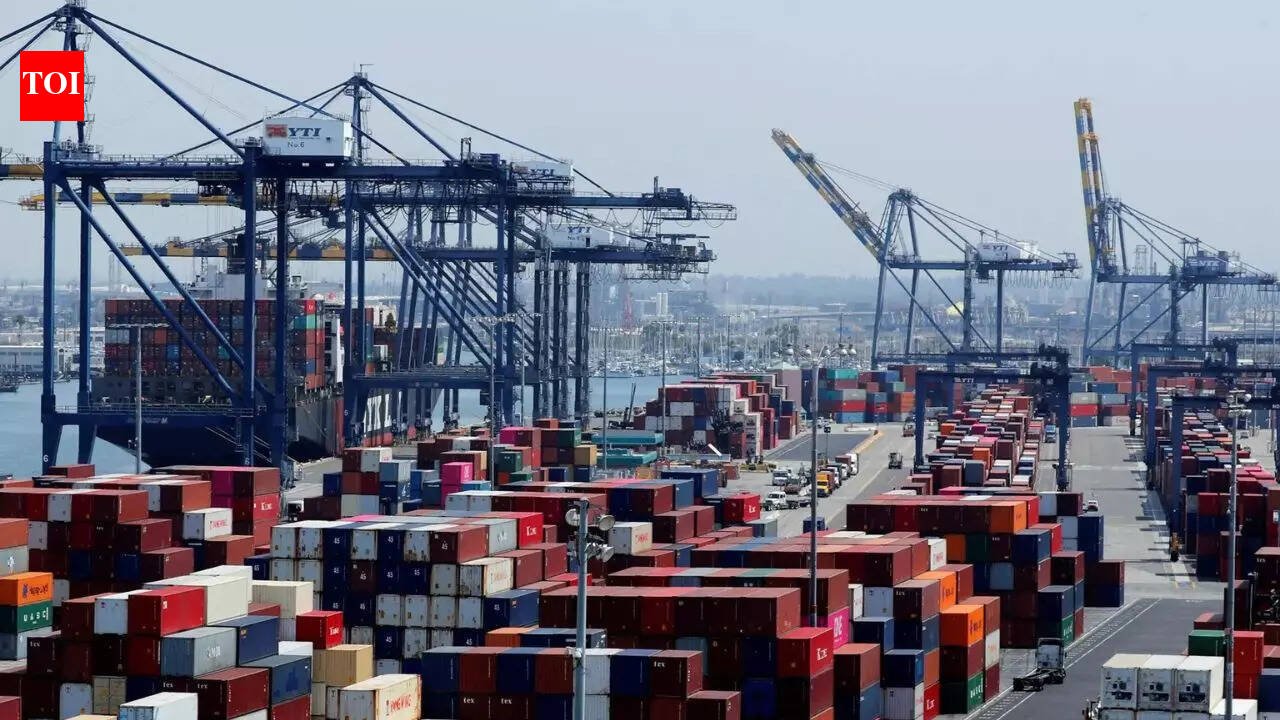 Stranded Ships West Asia: Middle East tensions: Consider charges waiver for stranded ships, ports told | India News