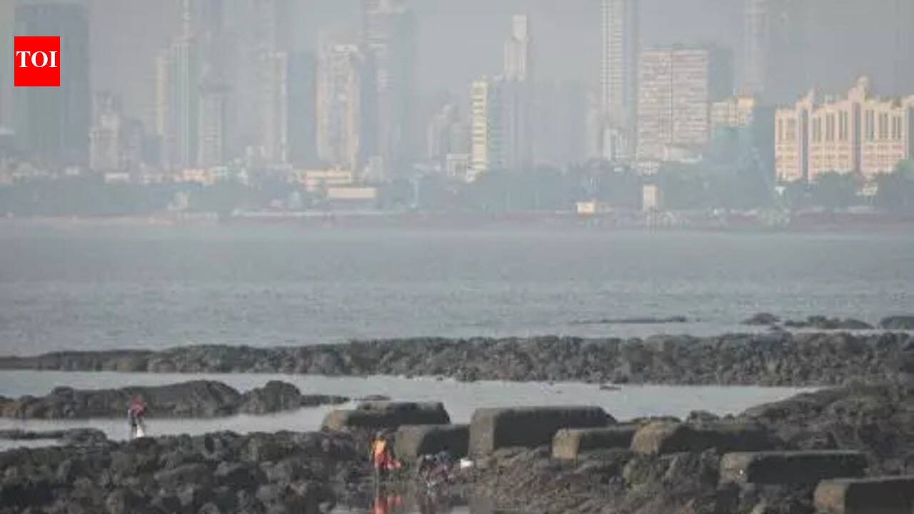 TMC seeks additional 50 MLD water from Mumbai’s civic body amid scarcity | Mumbai News