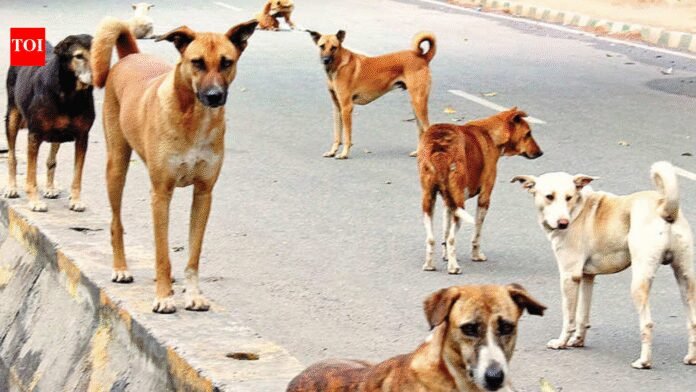 Telangana Stray Dogs Poisoned: 100 stray dogs poisoned to death, buried near river in Telangana | Hyderabad News