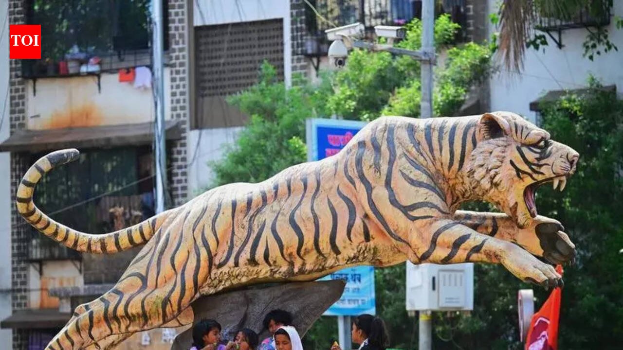 Temp dips, light rain forecast today in Mum, Thane, Palghar | Mumbai News
