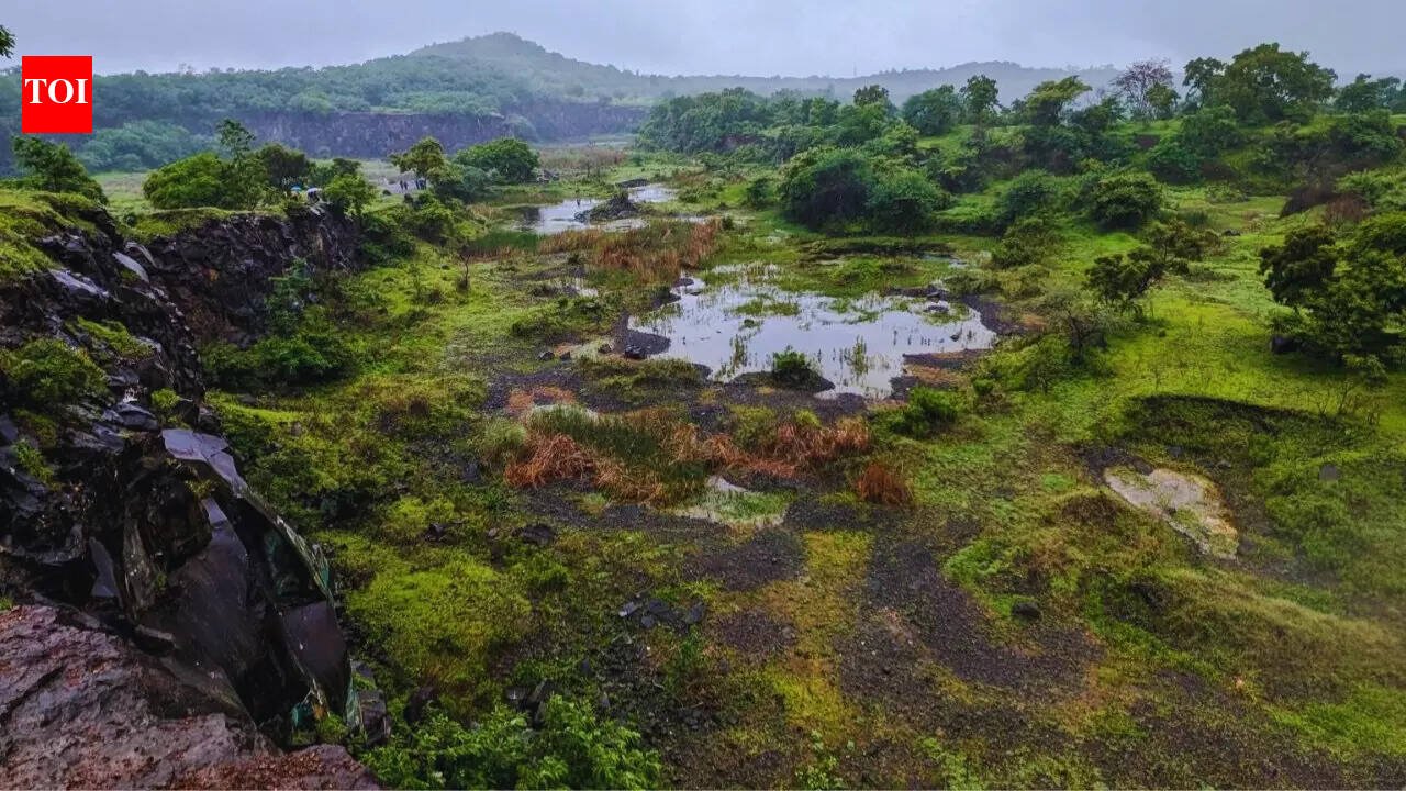 The birder who refuses to let a hill disappear in Pune: How a quiet community of birdwatchers continue to save Pune's highest hill |