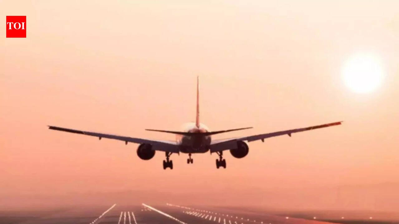 Travel disruption due to Iran war: Air India, Air India Express to run 58 flights to and from Middle East
