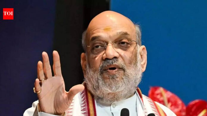 US, Ukraine citizens who went to Mizoram posed no threat to India: Shah | India News