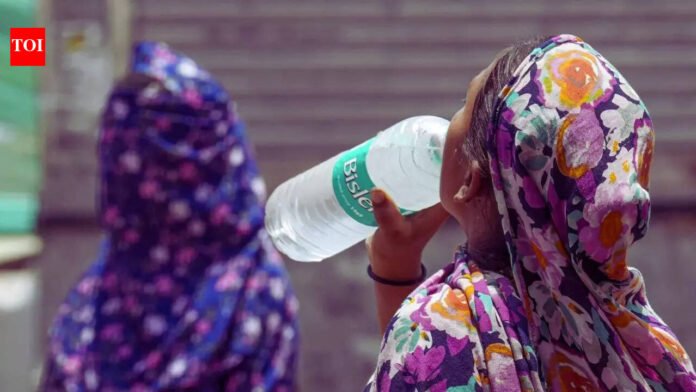 UV radiation alert in Bengaluru, Kerala: 'Cause for concern': No heatwave yet but UV radiation already worry in Bengaluru, Kerala; what you need to know | Bengaluru News