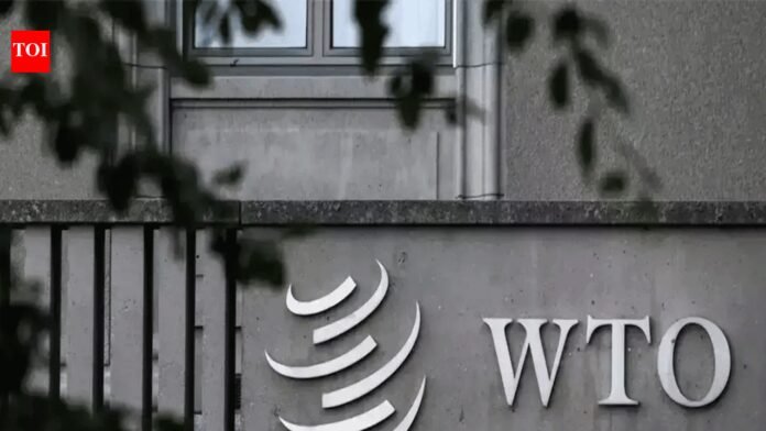 WTO talks stuck over e-commerce moratorium