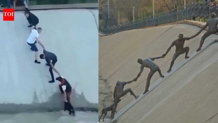 Watch: Strangers, a dog, and a moment the world chose to remember