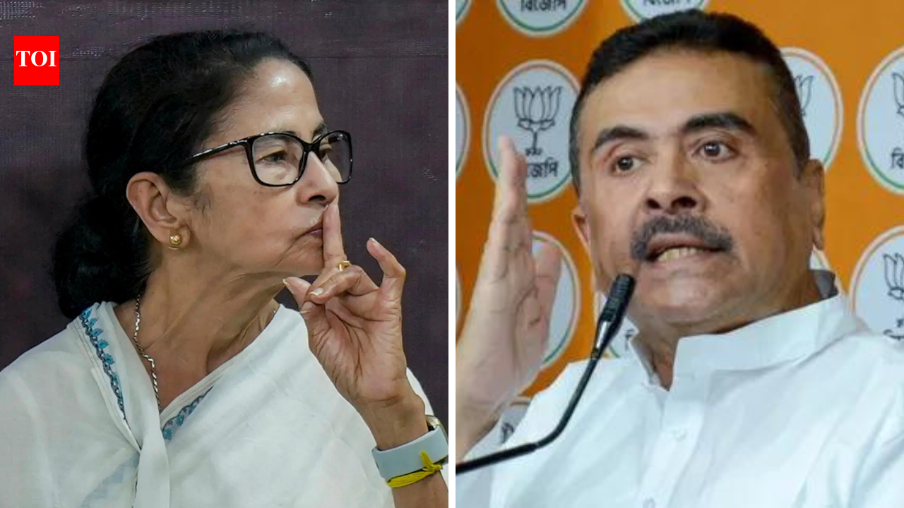West Bengal polls: TMC releases list of 291 candidates; stage set for Suvendu vs Mamata in Bhabanipur | India News