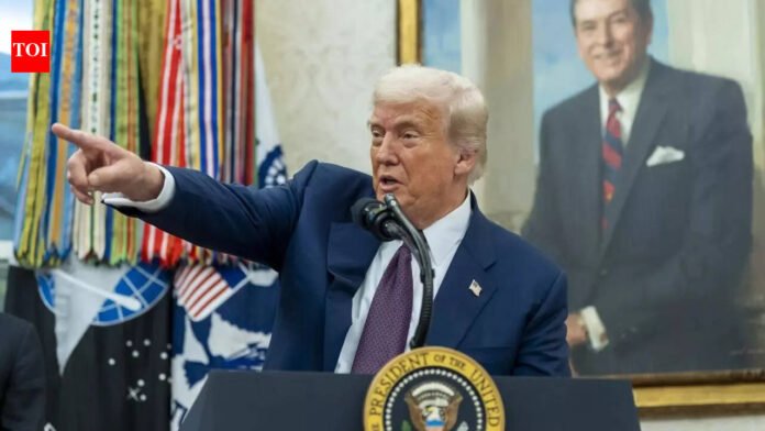 'Will put ICE in airports': Trump threatens after bill to fund US homeland security failed