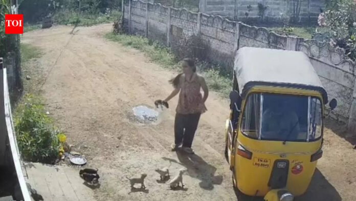 Woman kills puppies to avenge her neighbour | Trichy News