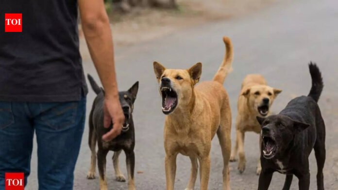 Woman returning from work mauled to death by pack of 6 stray dogs in Pune's Chakan | Pune News