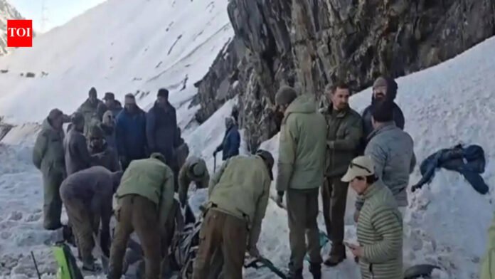Zojila Pass Avalanche: 7 killed as avalanche buries several vehicles at Zojila Pass | India News