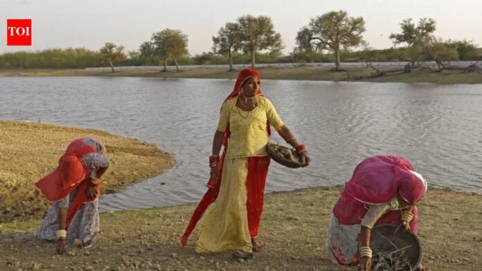 ​Blue saree brigade: Women at the heart of India’s water systems | India News