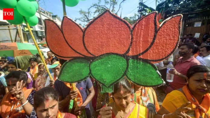 ‘Five days, no apology’: BJP attacks AAP over controversial comment on girls | India News
