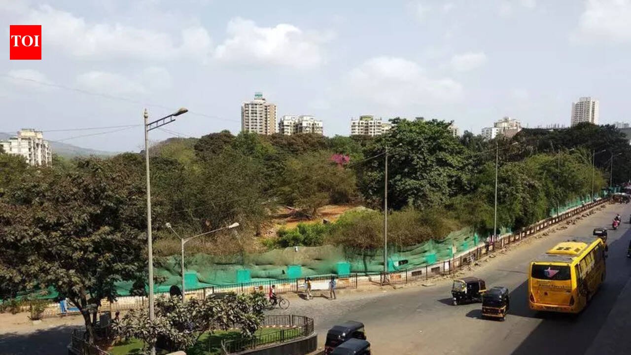 ‘SGNP officials will need to build 308 watchtowers, 1 every 500 m’ | Mumbai News