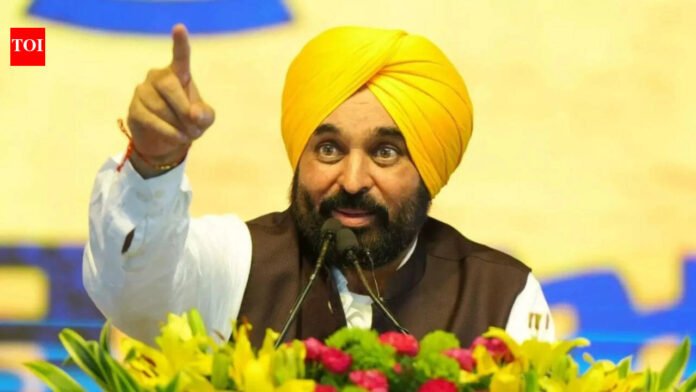 ‘Why have you stopped paying?' Punjab to seek water royalty from Rajasthan; Mann claims Rs 1.44 lakh crore dues since 1960 | India News