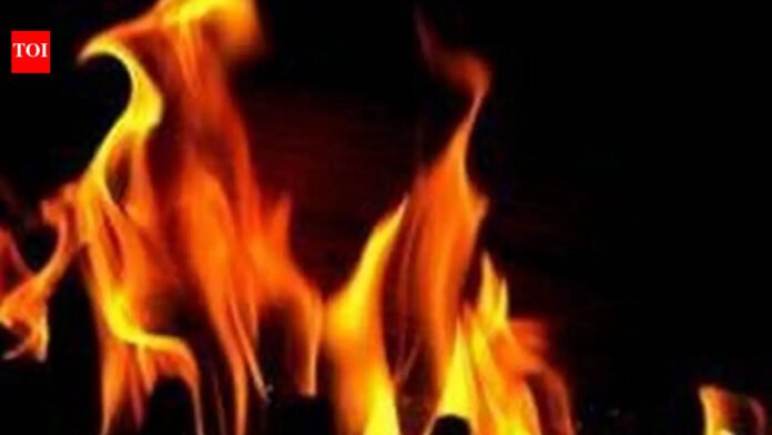 3 killed in Thane slum fire; LPG cylinder blasts gut 30 huts | Thane News