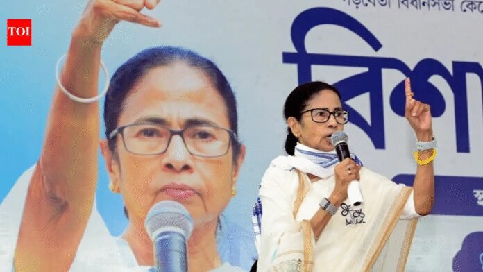 'Be cautious filing nominations': Mamata alleges EC bias, targets BJP | India News