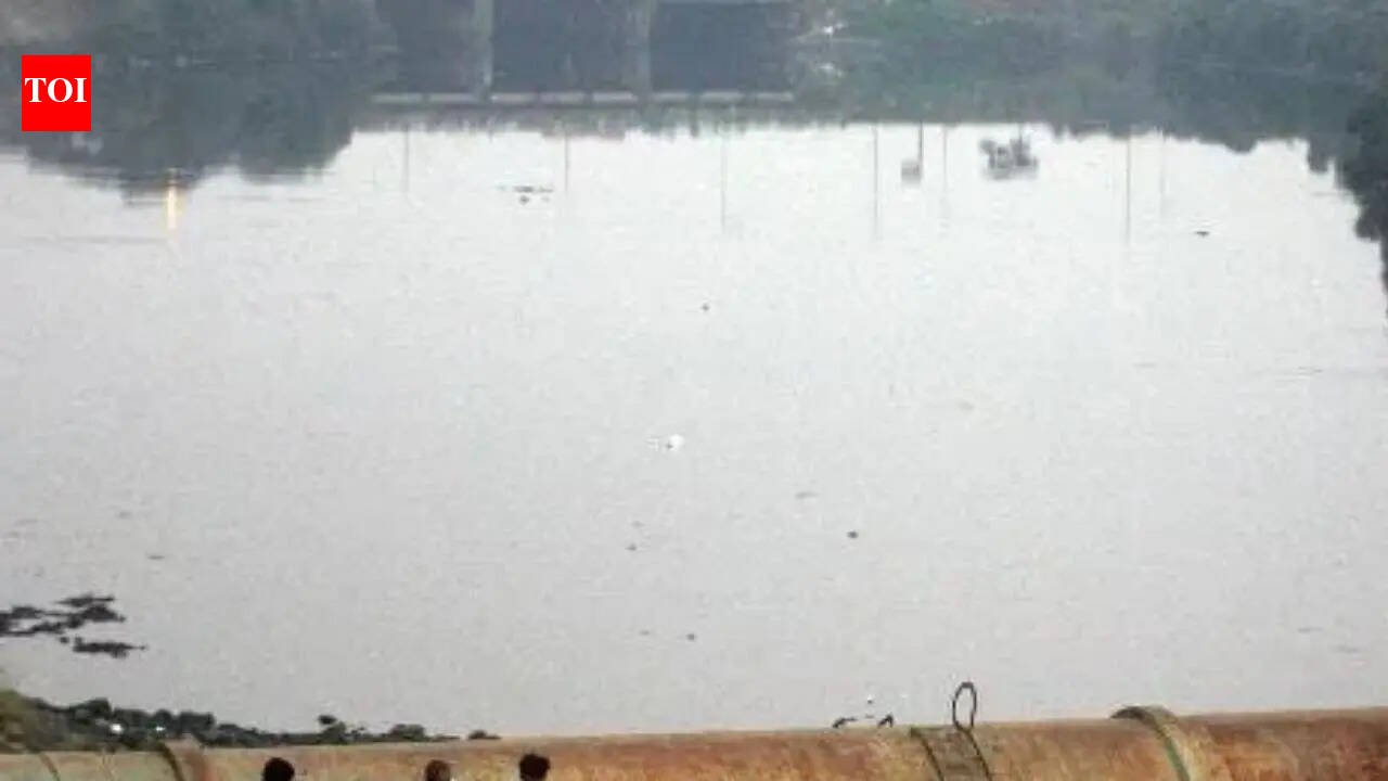 Bizman beheaded by partner over profit dispute, head dumped in river near Mumbai; 2 arrested | Mumbai News