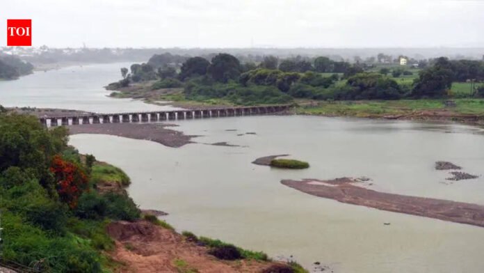 Cabinet OKs CM-led body to clean up river basins | Mumbai News